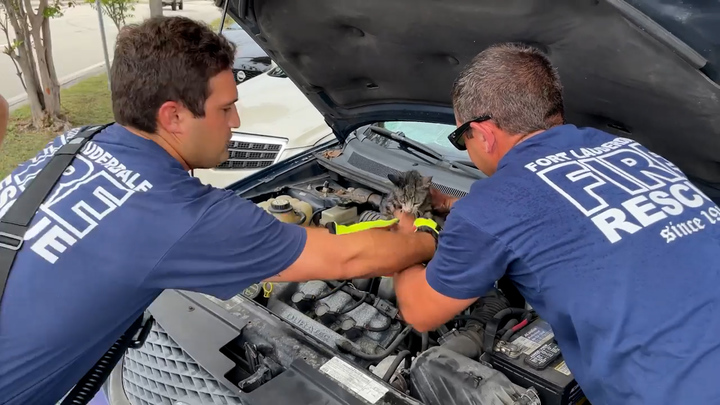 27일(현지시간) FOX8에 따르면 지난 23일 미국 플로리다주 소방국은 고양이가 승용차 엔진룸에 끼어있다는 신고를 받고 출동한 소방관들이 새끼 고양이를 안전하게 구조하는데 성공했다. 출처: Fort Lauderdale Fire Rescue *재판매 및 DB 금지