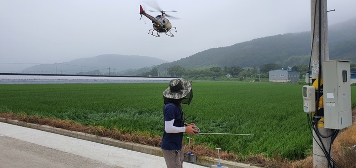 [밀양소식] "첨단 방제로 벼 농사지어요"…공동방제 시행 등 