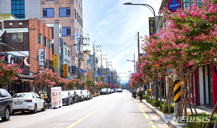 배롱나무 명품 특화거리. (사진제공=수원시)
