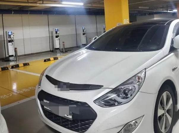 사진 인터넷 커뮤니티 캡처 *재판매 및 DB 금지