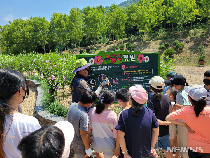 [나주=뉴시스] 전남산림자원연구소가 무궁화에 대한 국민적 관심을 높이고 나라사랑 정신 함양을 위해 오는 15일까지 무궁화정원에서 나라꽃 무궁화 전시회를 개최한다. (사진=전남산림자원연구소 제공) 2022.08.01. photo@newsis.com