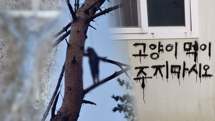 [서울=뉴시스] '그것이 알고싶다' 영상 캡처 . 2022.08.05. (사진= SBS 제공) photo@newsis.com*재판매 및 DB 금지 *재판매 및 DB 금지