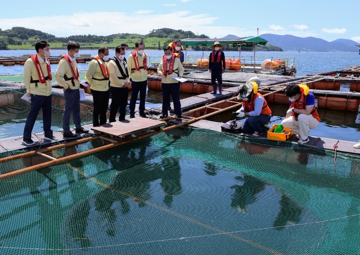 [여수=뉴시스] 김석훈 기자 = 5일 조승환 해양수산부장관이 여름철 고수온·적조 피해 예방을 위해 전남 여수시 월호동 가두리양식장을 방문해 현장점검하고 있다. (사진=여수시청 제공) 2022.08.05. photo@newsis.com *재판매 및 DB 금지