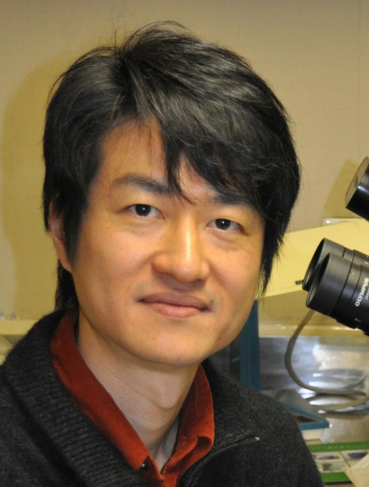 코소도 요이치(Yoichi Kosodo) 박사 연구팀 *재판매 및 DB 금지