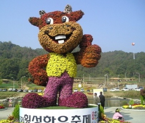 횡성군, 한우축제 공연 참가 단체 모집…장르 불문