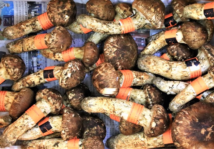 양양송이. *재판매 및 DB 금지