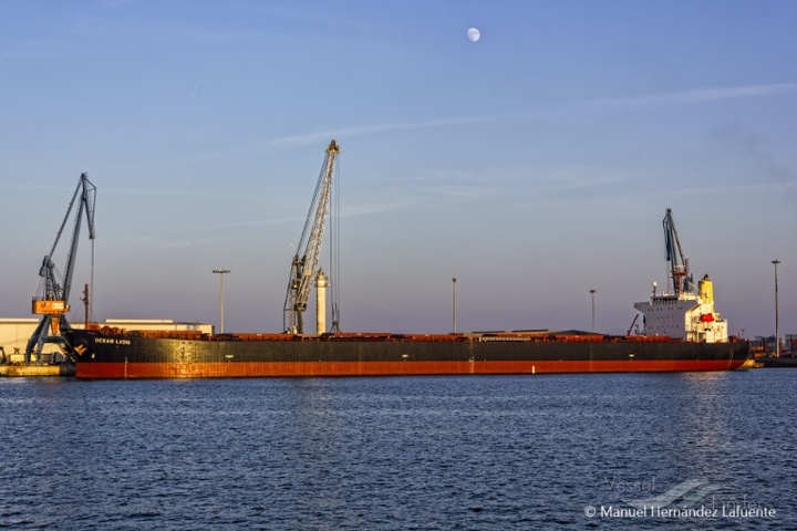 우크라 곡물을 싣고 싱가포르를 거쳐 한국을 향하고 있는 오션 라이언 호 *재판매 및 DB 금지