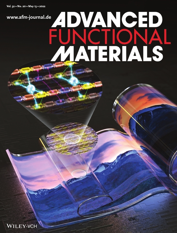 [서울=뉴시스]재료 분야 국제학술지 '어드밴스드 펑셔널 머티리얼즈(Advanced Functional Materials)'의 올해 5월 표지.  (사진=한국생산기술연구원 제공) 2022.08.10