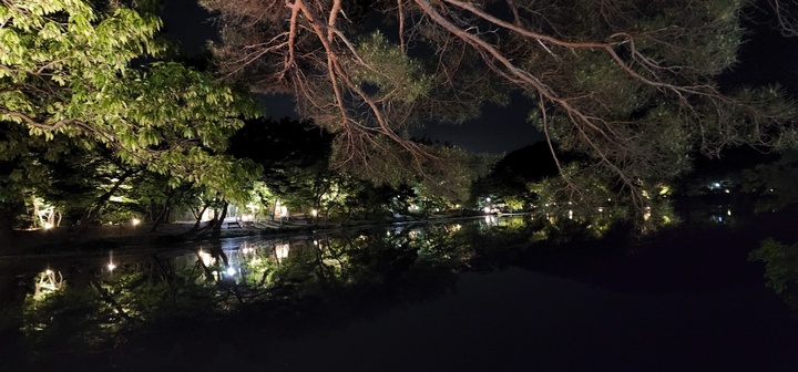 "사계가 아름다운 밀양 위양지를 거닐어 보세요"