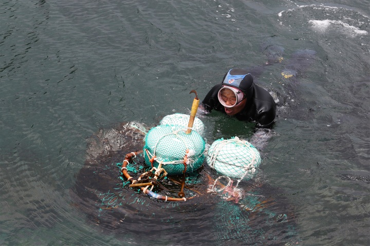 [안동=뉴시스] 울릉도 해남. (사진=경북도 제공) 2022.08.15 *재판매 및 DB 금지