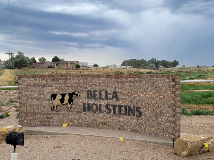 [서울=뉴시스] 미국 '벨라 홀스테인' 농장 전경. (사진=유라이크코리아 제공) 2022.08.16. photo@newsis.com *재판매 및 DB 금지