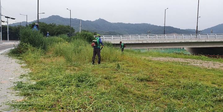 [밀양소식]삼문동 새마을지도자회, 쾌적한 밀양강 둔치 조성