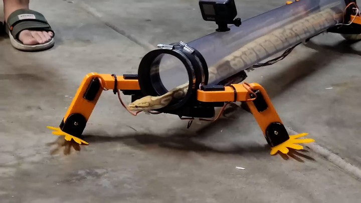 15일(현지시간) 데일리메일은 미국 LA에 거주하는 공학자 겸 유튜버인 알렌 판이 뱀이 타고 다닐 수 있는 긴 튜브와 4개의 플라스틱 다리를 제어기에 연결한 로봇을 발명했다고 보도했다. 출처: 유튜브 Allen Pan&nbsp; *재판매 및 DB 금지