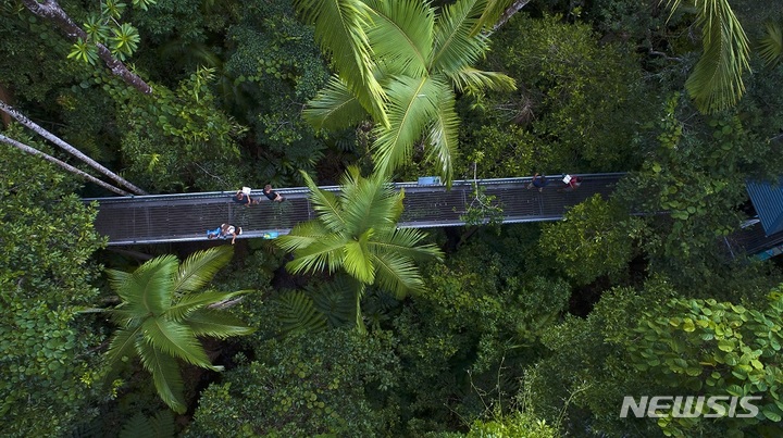 [서울=뉴시스] 데인트리 국립공원, 퀸즈랜드. (사진=퀸즈랜드주 관광청 제공) 2022.08.17. photo@newsis.com *재판매 및 DB 금지