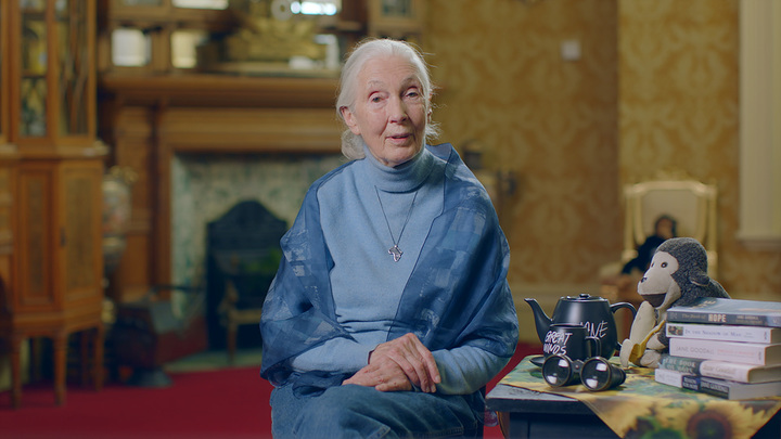 [서울=뉴시스] 제인 구달. *재판매 및 DB 금지