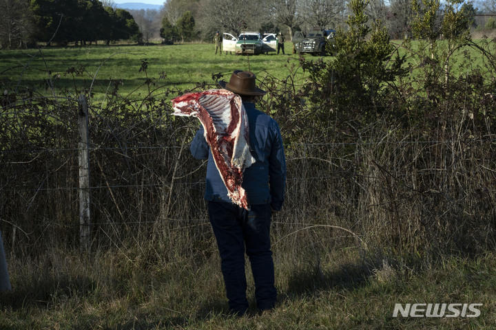 [ 카리말린( 칠레)= AP/뉴시스] 칠레 남부의 원주민 지역인 카리말린지역에서 올해 6월22일 경찰에 의해 강제퇴거 당하는 마푸체 일가족. 칠레는 14년째 계속되는 가뭄과 산불로 농부들과 영세농들이 큰 피해를 입고 있다. 