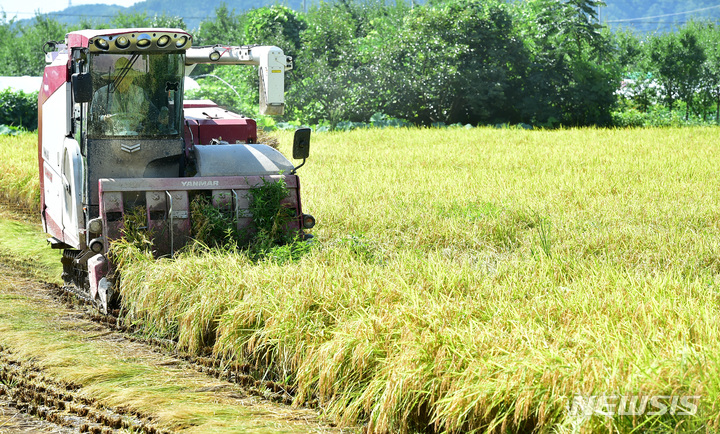 [대구=뉴시스] 대구 달성군 다사읍 문양역 인근 논에서 한 농민이 콤바인을 이용해 벼를 수확하고 있다. (사진=뉴시스 DB). photo@newsis.com 