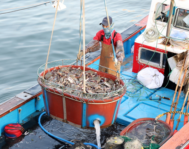[태안=뉴시스] 충남 태안지역 가을 꽃게잡이. (사진=뉴시스 DB). photo@newsis.com *재판매 및 DB 금지