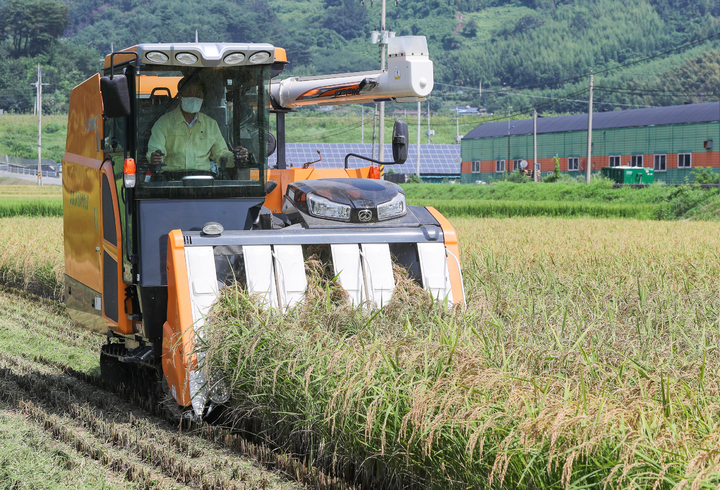 22일 오전 전남 광양시 진월면 백형래씨 논에서 정인화 광양시장이 콤바인을 운전하며 벼를 베고 있다. 광양시 제공 *재판매 및 DB 금지
