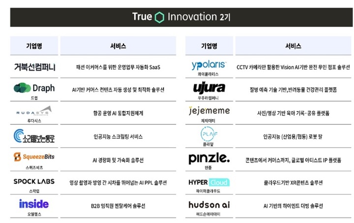 SK텔레콤의 '트루 이노베이션' 프로그램 2기 선발 스타트업 리스트. (사진=SK텔레콤 제공) *재판매 및 DB 금지