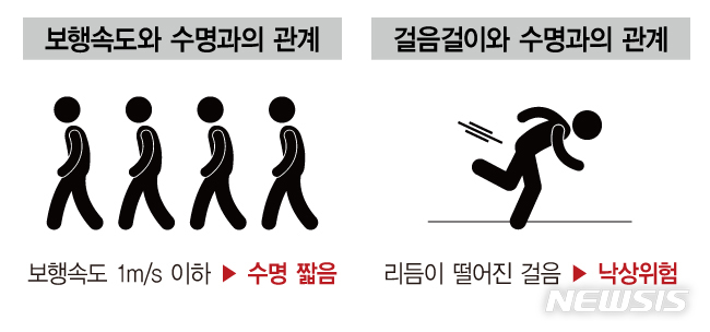 [서울=뉴시스] 편안하게 걸을 때 속도가 초당 1미터(1m/s) 이하인 사람은 초당 1미터 이상인 사람에 비해 건강수명이 현저하게 떨어진다. 불안정한 걸음걸이도 낙상사고의 위험을 높여 건강한 삶을 저해하는 한 요인이 될 수 있다. (그래픽= 전진우 기자) 2022.08.23