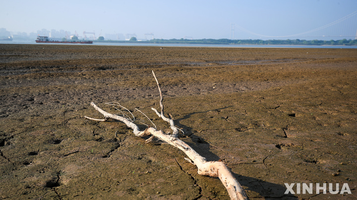 [양저우=신화/뉴시스] 23일(현지시각) 중국 장쑤성 양저우시를 흐르는 양쯔강 하류가 가뭄으로 인해 수위가 낮아져 바닥을 드러내고 있다.