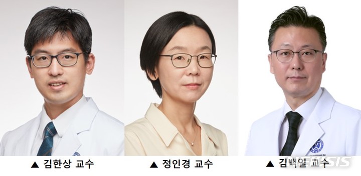 [서울=뉴시스]왼쪽부터 연세암병원 종양내과 김한상 교수·연세대 의대 의생명시스템정보학교실 정인경 교수·연세대 치과대학 예방치과학교실 김백일 교수. (사진= 세브란스병원 제공) 2022.08.24