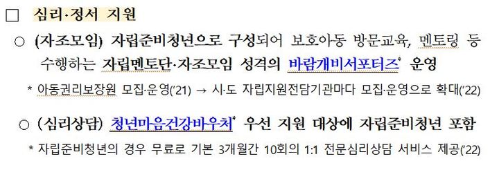 보건복지부가 지난 23일 배포한 보도설명자료. '분야별 주요 자립지원 정책 현황' 중 심리·정서 지원책을 설명하고 있다. *재판매 및 DB 금지