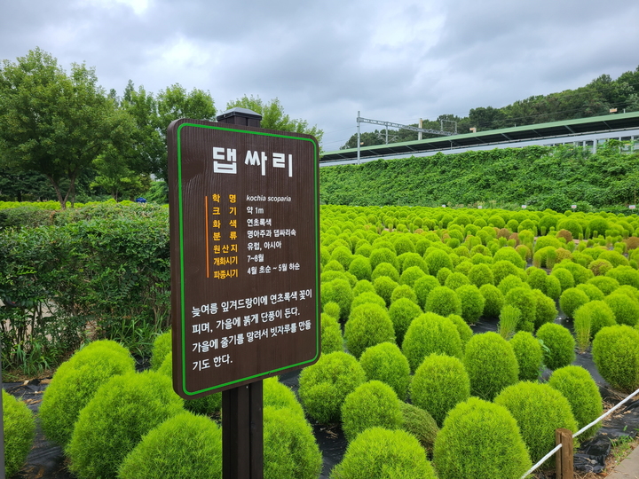 [안산=뉴시스] 쉼터 조성. (사진=안산시 제공) 2022.08.25. photo@newsis.com *재판매 및 DB 금지
