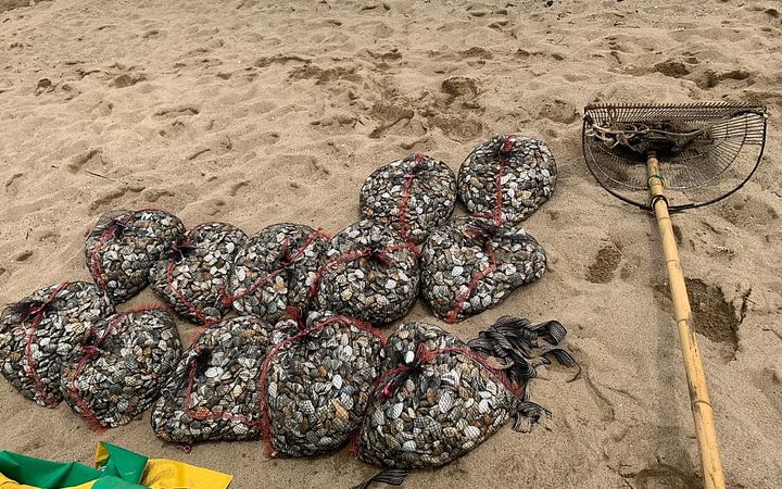 [포항=뉴시스] 이바름 기자 = 경북 포항해양경찰서는 여름철 불법해루질 특별단속을 실시해 17건을 적발했다고 24일 밝혔다.(사진=포항해양경찰서 제공) 2022.08.24. photo@newsis.com *재판매 및 DB 금지