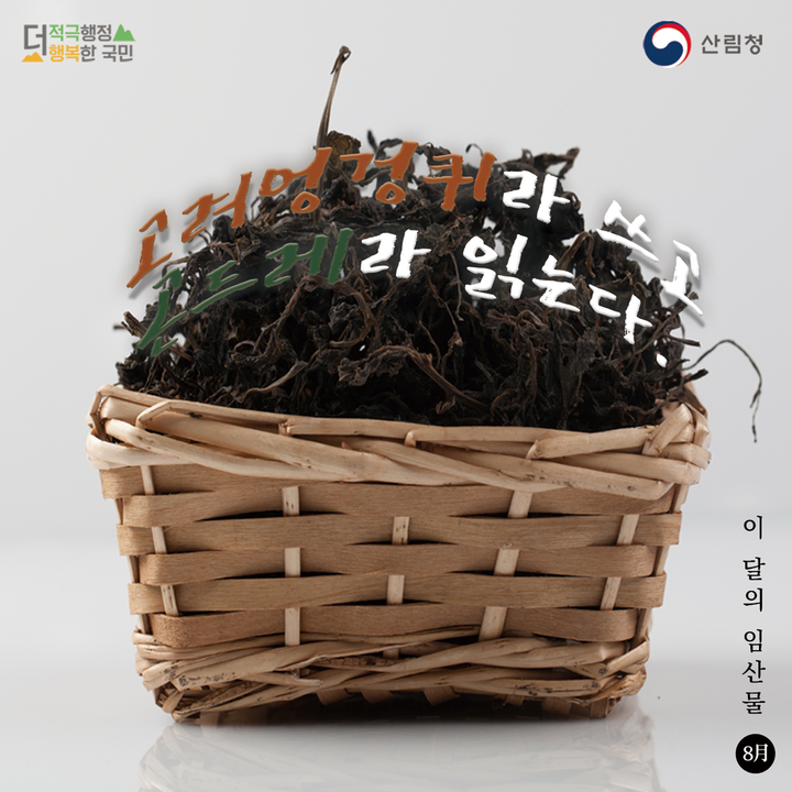 [대전=뉴시스] 8월 이달의 임산물인 '고려엉겅퀴(곤드레)'. *재판매 및 DB 금지