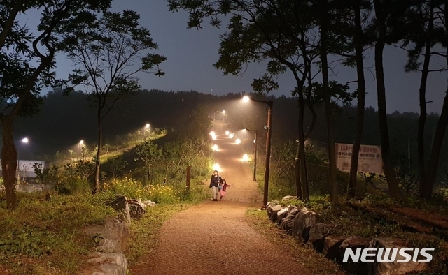 곰솔 누리숲 야간 산책로 전경.