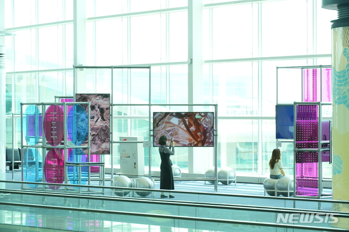 [서울=뉴시스] 제2여객터미널 탑승구역(253번 게이트 인근) 내 '새로운 시대로의 이동' 기획전을 관람 중인 관람객들. (사진=예술경영지원센터 제공) 2022.08.26. photo@newsis.com *재판매 및 DB 금지