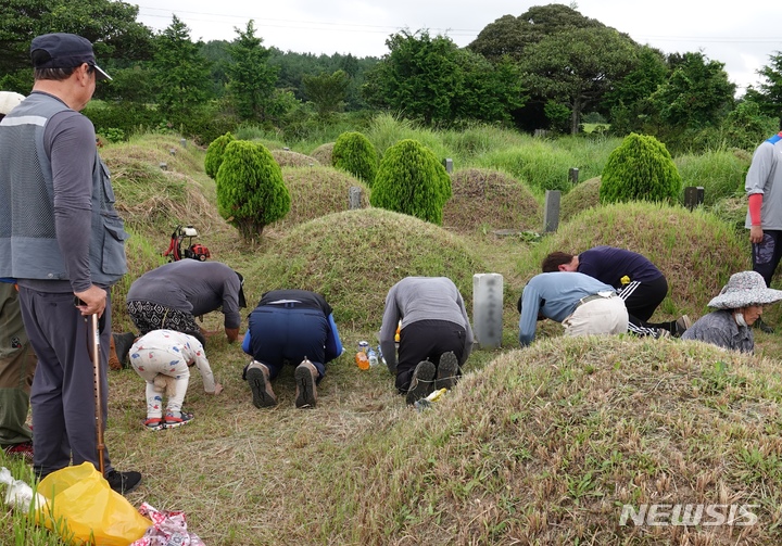 [제주=뉴시스] 오영재 기자 = 28일 오전 제주 서귀포시 남원공설묘지에서 벌초를 마친 주민들이 제사를 지내고 있다. 이곳 공설묘지에는 추석 전 주말을 맞아 벌초객들의 발길이 이어지고 있다. 2022.08.28. oyj4343@newsis.com