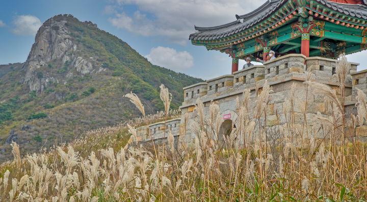 [산청]=뉴시스]산청 황매산 억새. *재판매 및 DB 금지