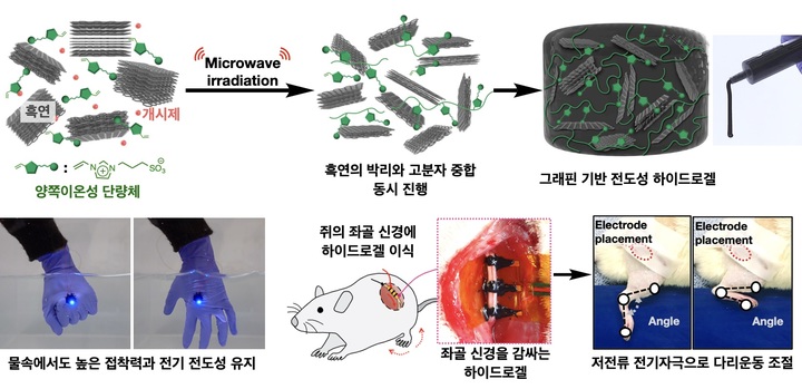 [포항=뉴시스] 강진구 기자 = 포스텍(총장 김무환)은 신소재공학과 김연수 교수·한임경 박사 연구팀이 대구경북첨단의료산업진흥재단(케이메디허브) 송강일 박사와 공동 연구를 통해 몸속에서 효과적으로 작동하는 전기 전도성 하이드로겔을 개발했다고 30일 밝혔다.사진은 연구 관련 이미지.(사진=포스텍 제공) 2022.08.30.photo@newsis.com *재판매 및 DB 금지