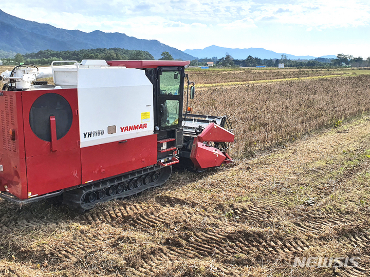 [영암=뉴시스] 영암군 군서농협이 조성한 '국산콩 우수 생산단지'에서 기계수확이 이뤄지고 있다. (사진=전남도 제공) 2022.08.30. photo@newsis.com