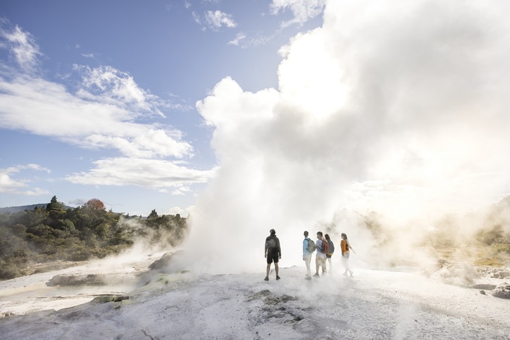 화카레와레와 계곡의 테푸이아. (사진=Miles Holden·뉴질랜드관광청) photo@newsis.com *재판매 및 DB 금지