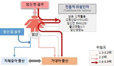 [서울=뉴시스] 임신전 음주에 의한 거대아 출산 위험도 증가 모델. 질병관리청 국립보건연구원이 2일 발표한 연구 결과에 따르면 임신 전 고위험 음주군은 거대아 출산 위험이 2.3배 증가하는 것으로 나타났다. (사진=질병관리청 제공) 2022.09.02. photo@newsis.com *재판매 및 DB 금지