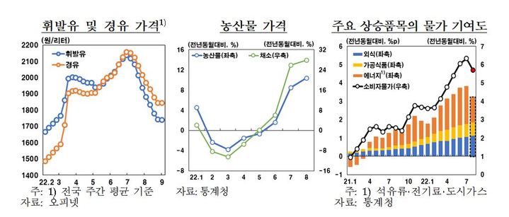 한은 "소비자물가, 상당기간 5~6%대 높은 오름세 지속"