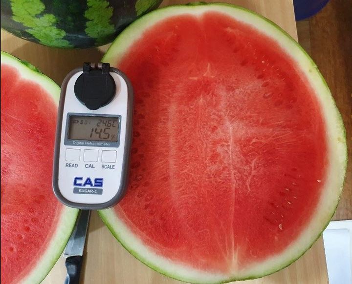 피엠알아이조은(사진=국립종자원) *재판매 및 DB 금지