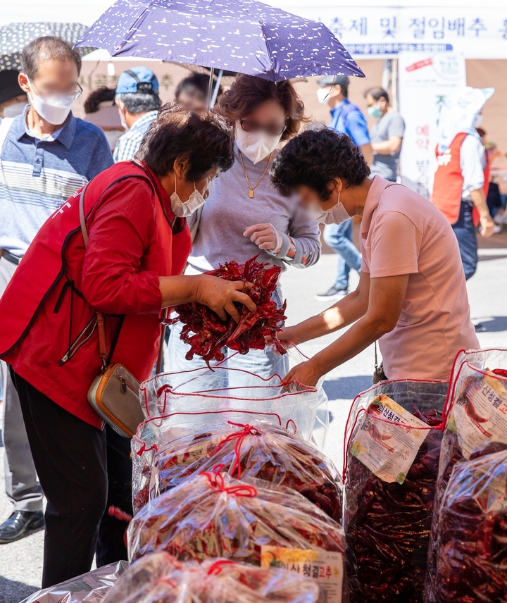 [괴산=뉴시스] 강신욱 기자 = 충북 괴산군의 대표 축제인 2022 괴산고추축제가 열린 3일 고추장터에서 소비자들이 괴산청결고추를 구매하고 있다. (사진=괴산군 제공) 2022.09.03. photo@newsis.com *재판매 및 DB 금지