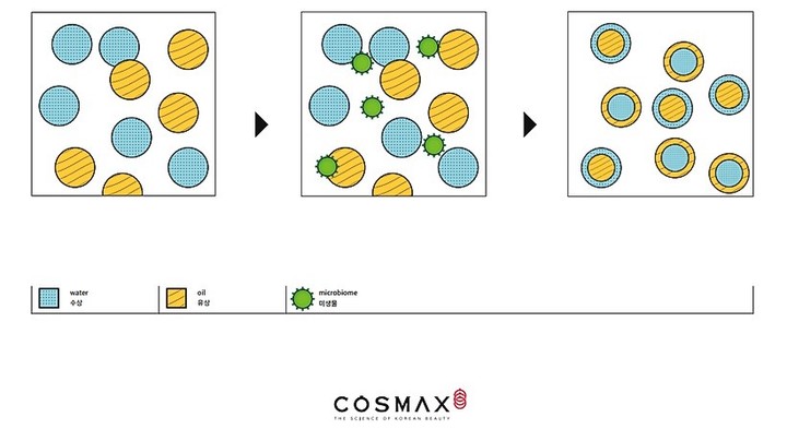 코스맥스 '바이오 나노 에멀젼' 모식도 *재판매 및 DB 금지