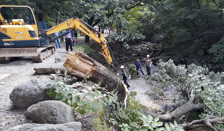 전남 순천시가 태풍 힌남노의 남해안 상륙에 대비해 계곡에 넘어진 나무를 처리하고 있다. 순천시 제공    *재판매 및 DB 금지