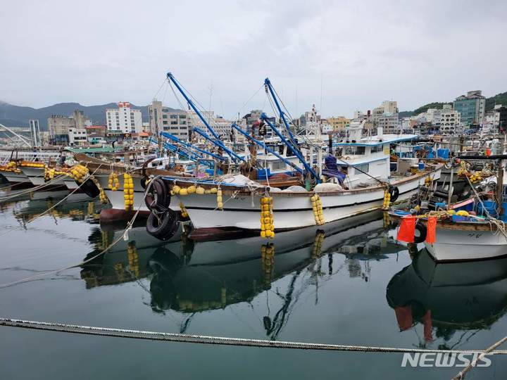 [통영=뉴시스] 신정철 기자= 6일 오전 6시께 경남 통영시와 거제시에 상륙할 것으로 알려진 초강력 태풍 ‘힌남노’의 북상 속도가 빨라지고 있다. 5일 오후 선박들이 대피하고 있는 통영 강구안 전경.2022.09.05. sin@newsis.com