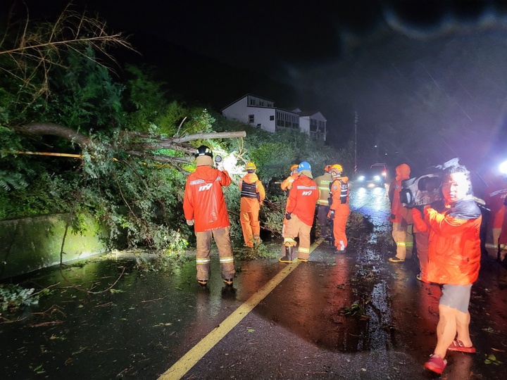 [통영=뉴시스] 김기진 기자=제11호 태풍 '힌남노'가 6일 새벽 경남 남해안에 상륙한 가운데 경남소방대원들이 경남 통영시 산양읍에서 강풍에 쓰러진 나무 제거작업을 하고 있다. 2022.09.06. (사진=경남도소방 제공) photo@newsis.com  *재판매 및 DB 금지