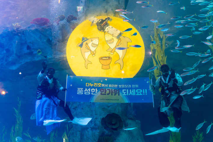 롯데월드 아쿠아리움 메인 수조 보름달 *재판매 및 DB 금지