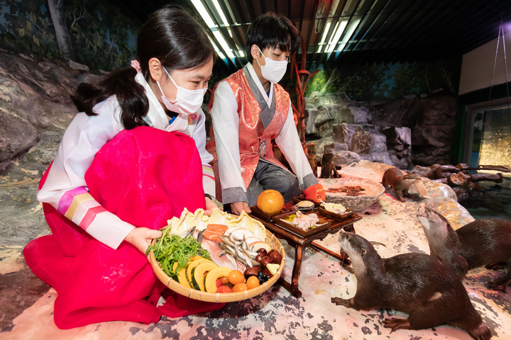 롯데월드 아쿠아리움 수달 특식 *재판매 및 DB 금지