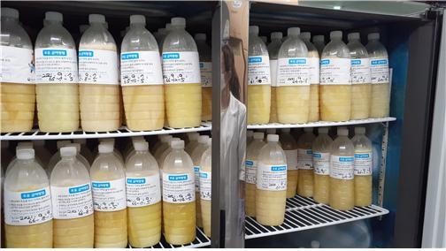 [울산=뉴시스] 구미현 기자 = 울산시농업기술센터는 한우 송아지의 면역력 향상, 폐사율 과 설사병 감소를 위해 15일부터 축산농가에 고품질 초유를 시범 공급한다. 사진은 축산농가에 공급할 초유 모습. (사진=울산시 제공) photo@newsis.com *재판매 및 DB 금지