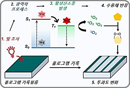 [대전=뉴시스] 광역학 메카니즘 기반 홀로그램 기록용 조성물 기술 개요도. *재판매 및 DB 금지